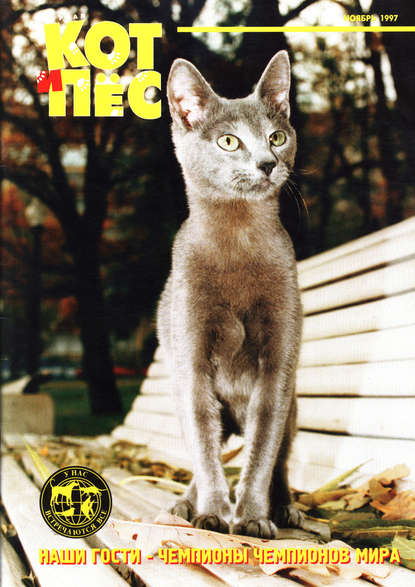 Кот и Пёс №11/1997 - Группа авторов